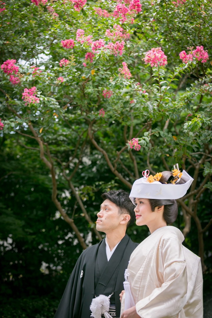 角隠しに百日紅