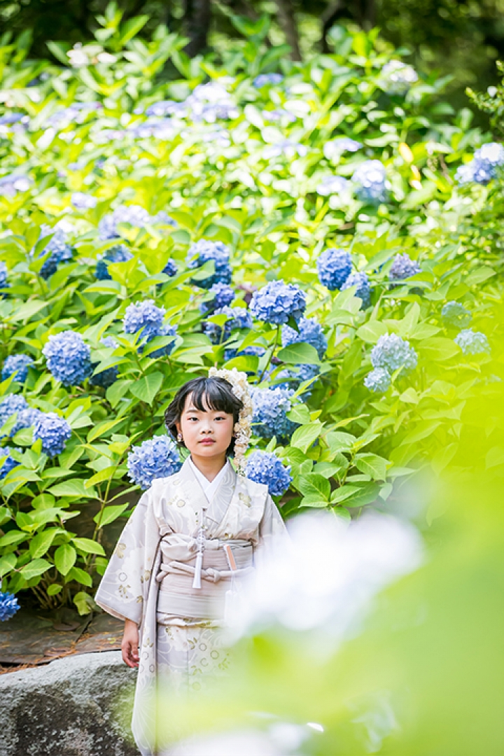紫陽花七五三ロケーションフォト

※こちらのお衣装レンタル可能です

七五三レンタル受注会開催！ご予約はこちらから 
2025.8/26-31

受注会にてレンタル早撮り割引
10/31までのご撮影で衣裳40%OFF