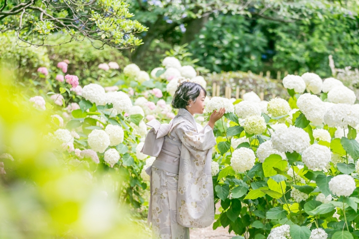 紫陽花で可愛く自然にロケーション撮影
お着物レンタルいただけます

土日祝日など人気のお日にちはお早めにお問合せください
特典やオプション料金、Q＆Aなどはこちら
