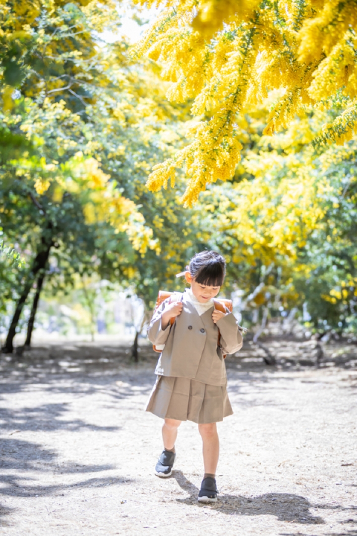 ミモザと桜の入学フォト