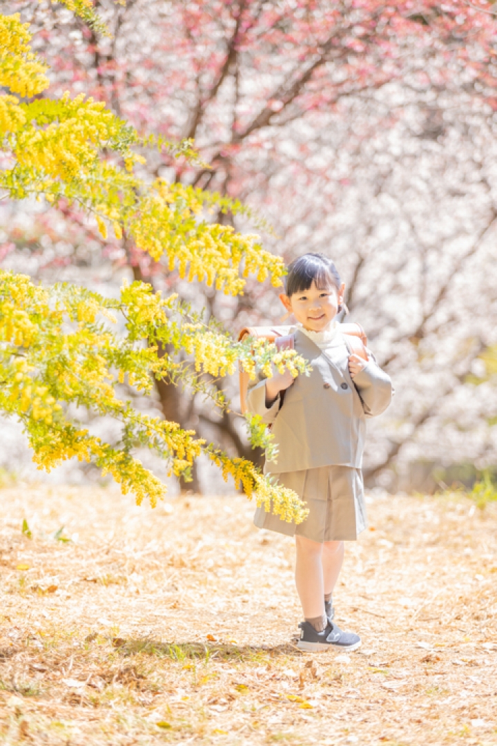 ミモザと桜の入学フォト