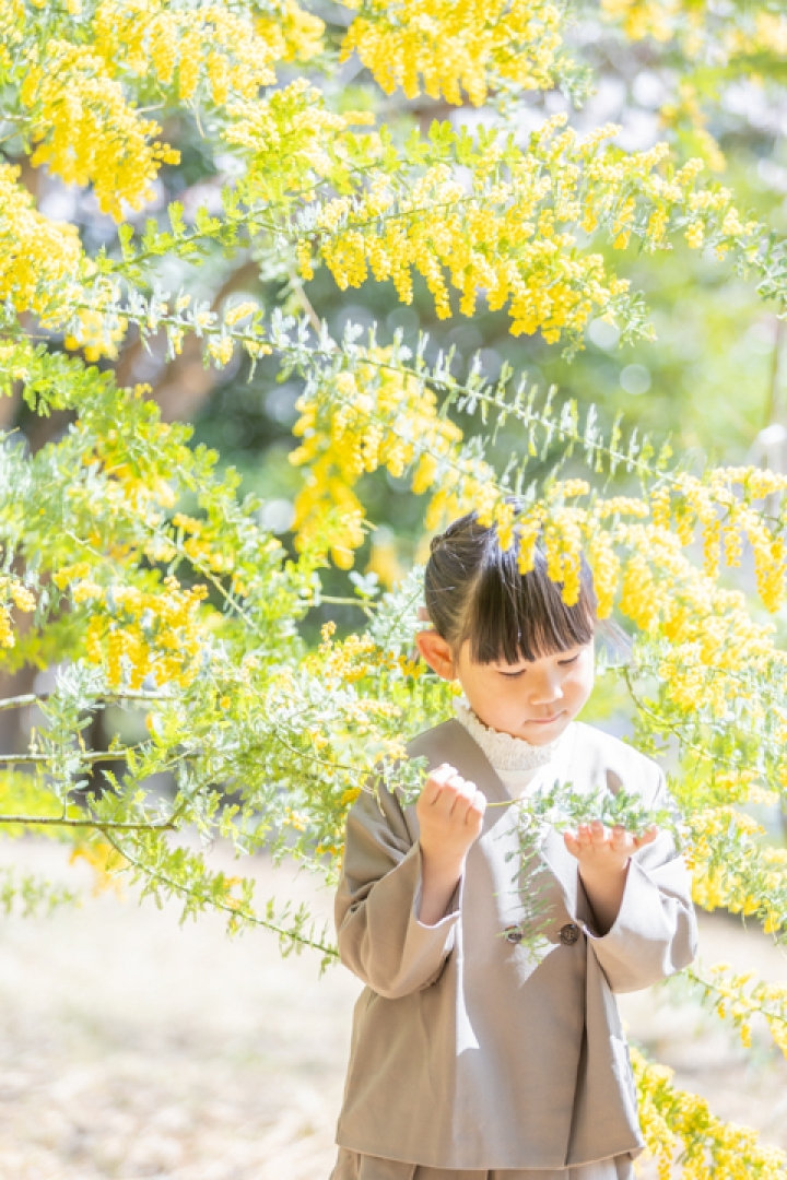 ミモザの入学フォト