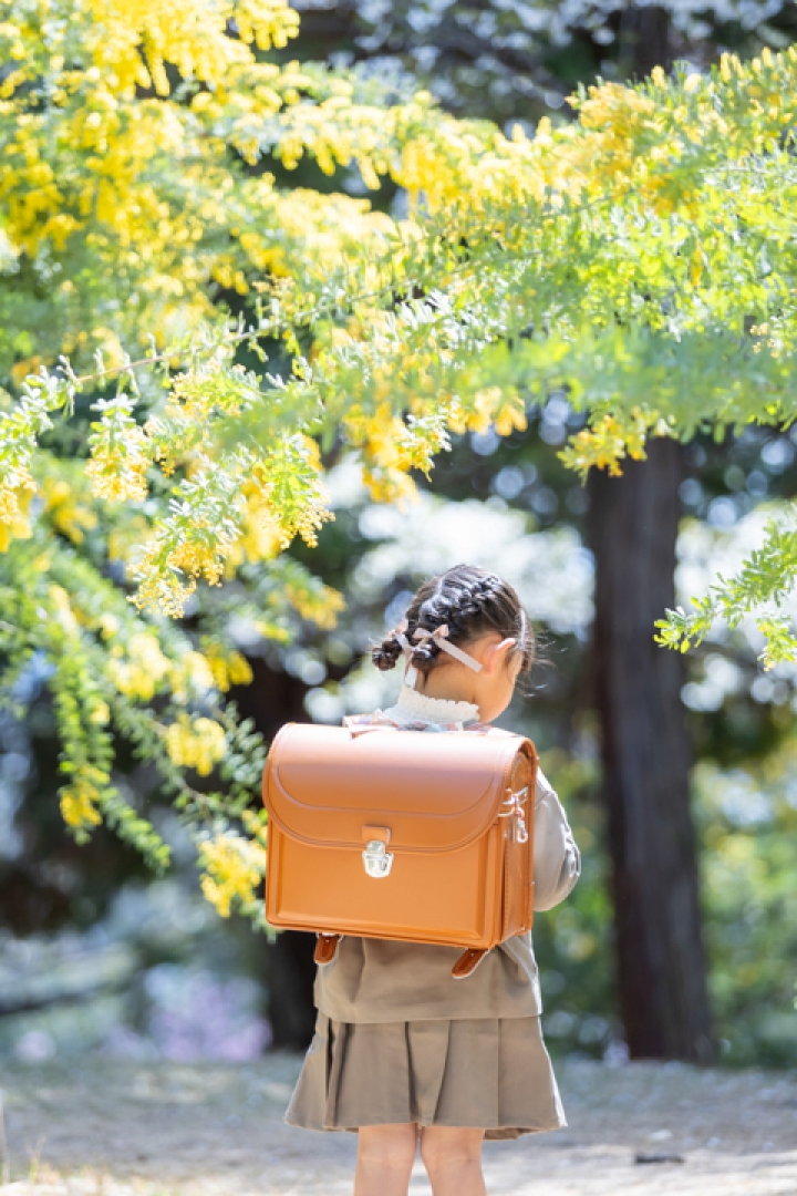 ミモザの入学フォト
