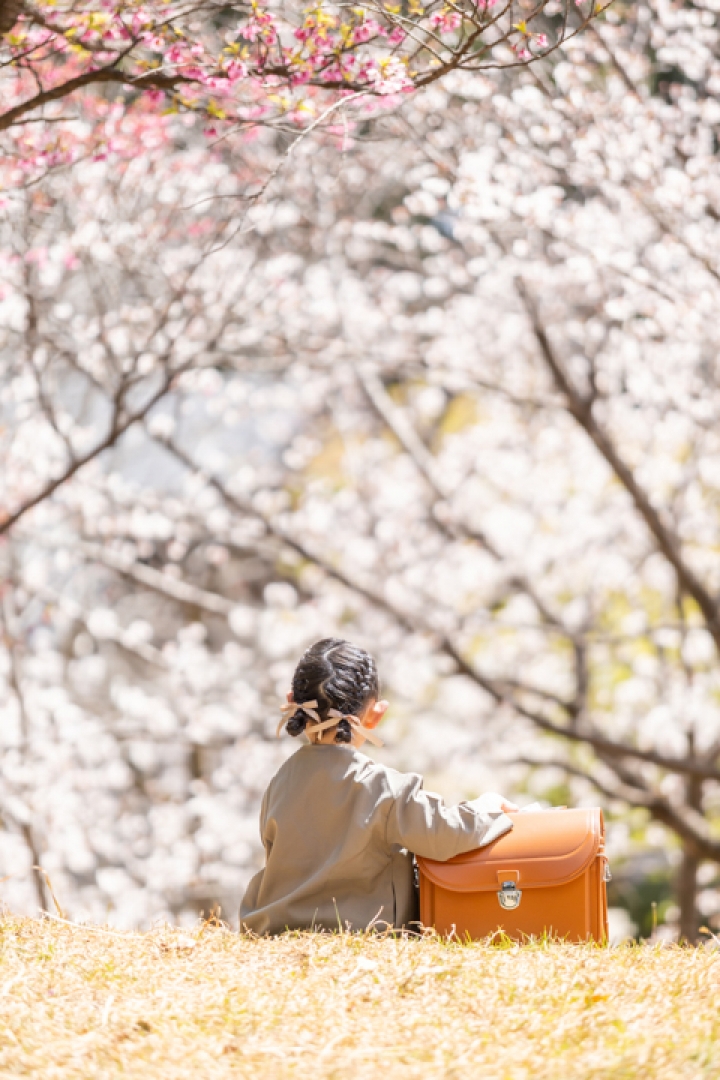桜入学フォト