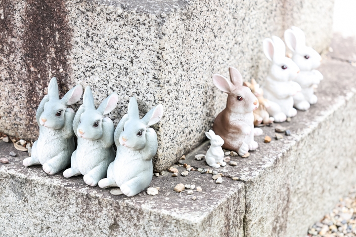 大須の三輪神社でお宮参りロケーションフォト
　　ご祈祷中もお写真が残せます